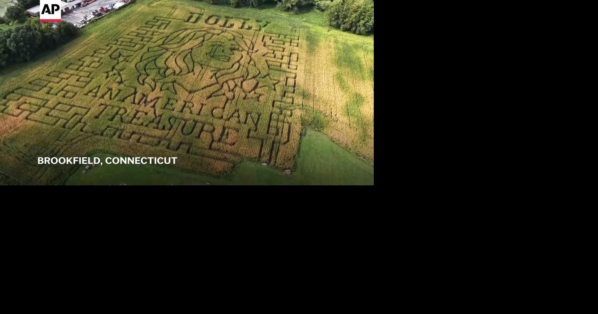 Aw shucks: Dolly Parton corn mazes crop up in fields nationwide