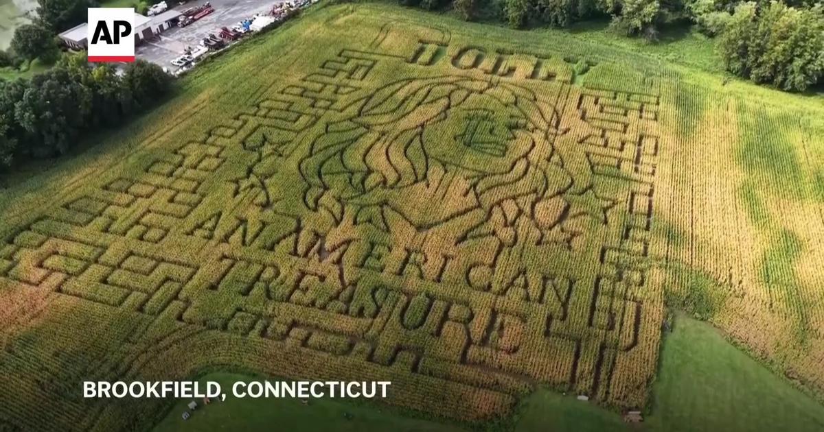 Aw shucks: Dolly Parton corn mazes crop up in fields nationwide