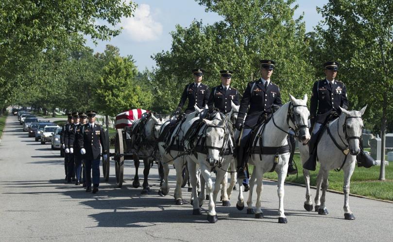 Army will end most of its ceremonial horse programs and adopt out the animals