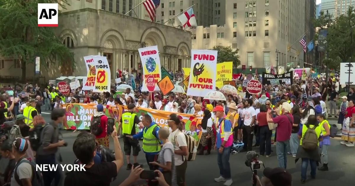 Compamy Protests Marchers gather in worldwide protest of financial institutions ...