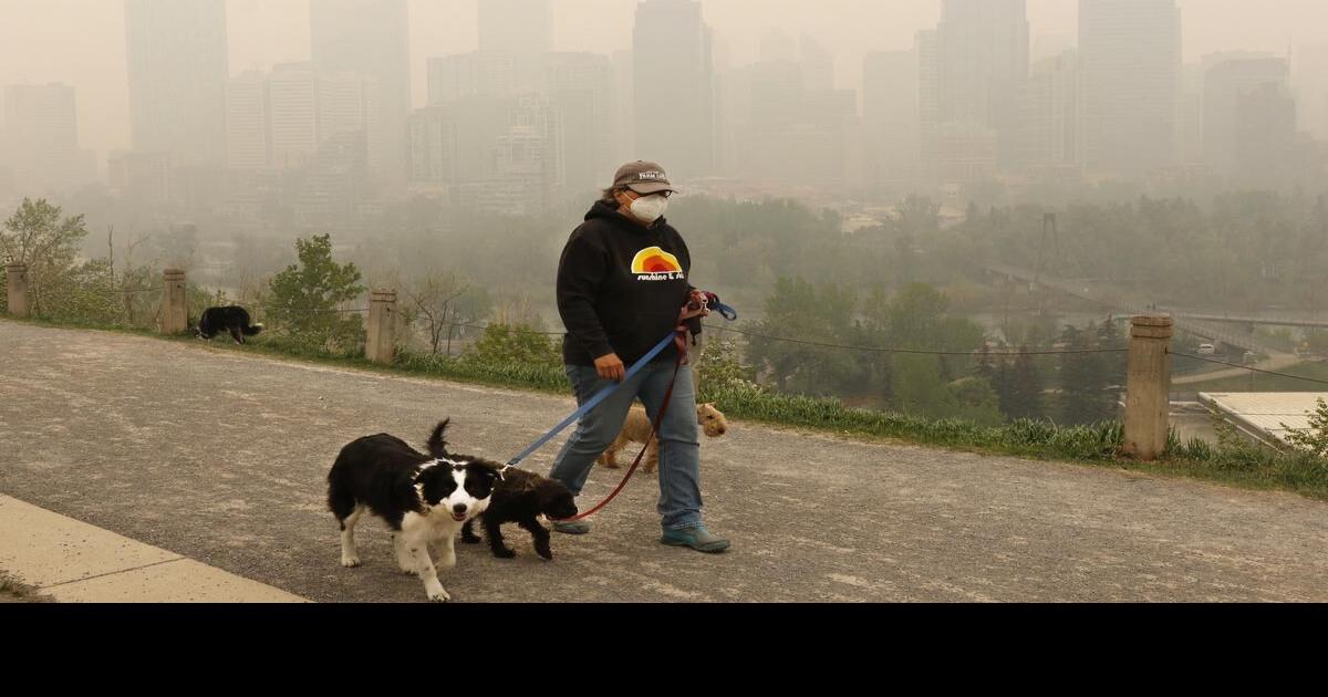 Bridling Air Pollution