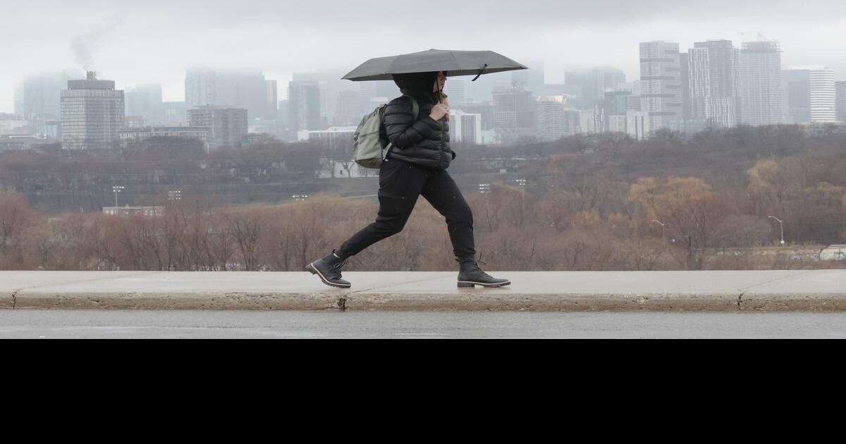 Toronto under rainfall warning with up to 75 mm expected
