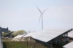 Solar wind sheep Oved.JPG