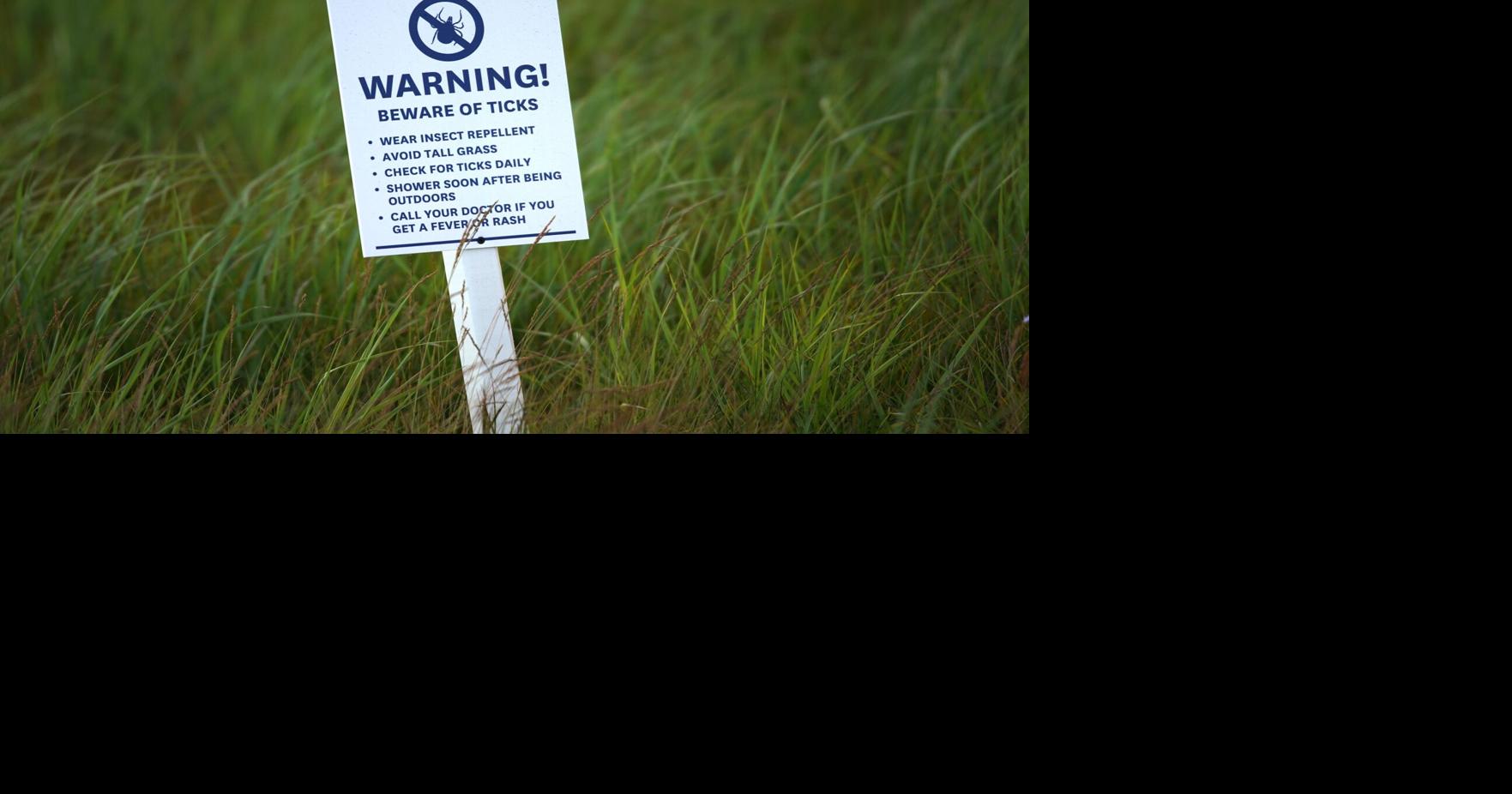 Ticks are surging in Ontario this year and Toronto is a 'hot spot.' Here's how to protect yourself