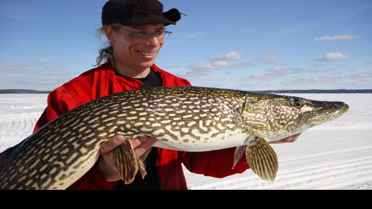 Where you should go to catch six kinds of fish in Ontario this winter