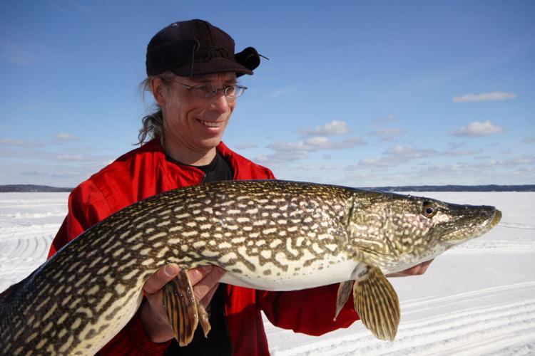 Where you should go to catch six kinds of fish in Ontario this winter