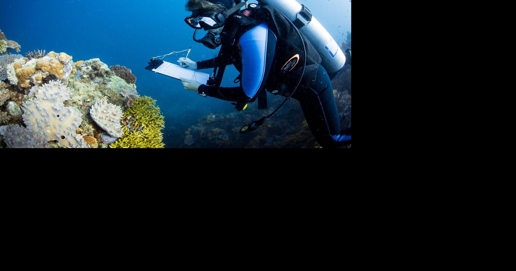 Take coral bleaching off your list of things giving you environmental dread