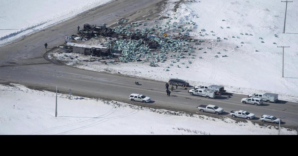 Transport Canada to make seatbelts mandatory on new highway buses by 2020