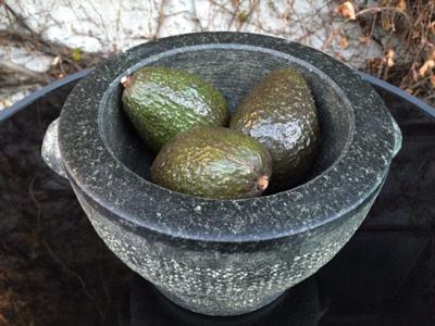 The Little Avocado That Could - Travel Write Sing