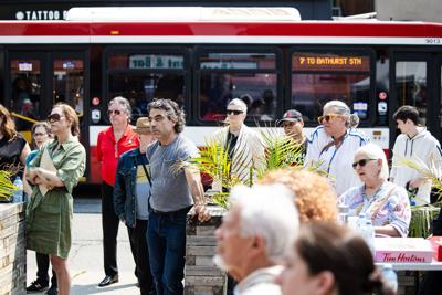 Bathurst Bus Lanes.JPG