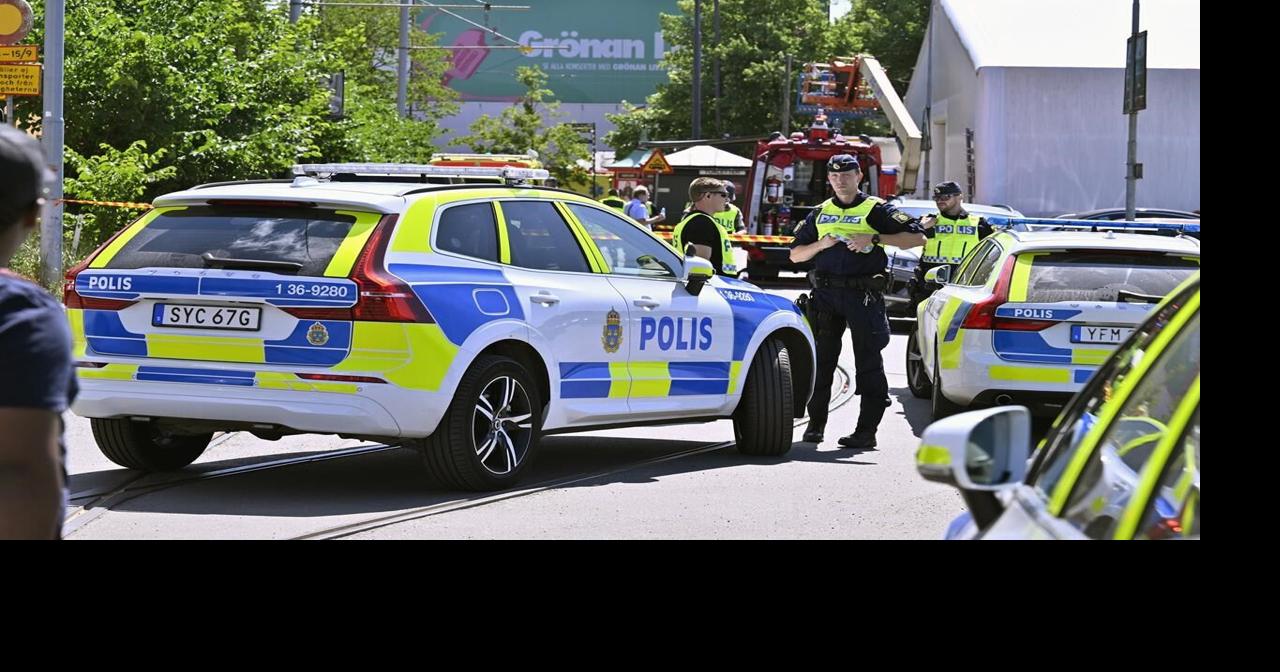 Swedish government investigators launch probe of deadly roller coaster ...