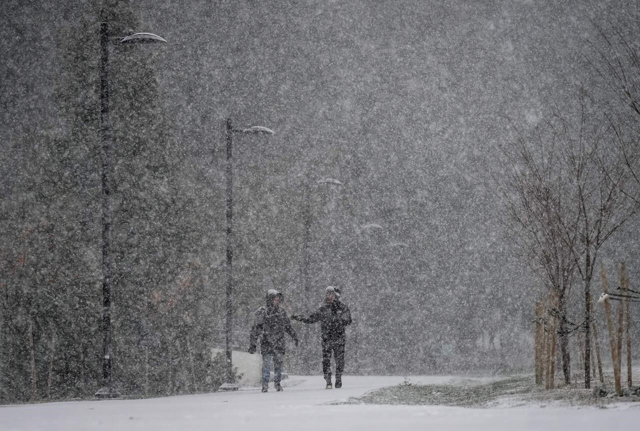 Snowfall Warnings Remain For Boundary, Kootenay Areas, Lifted For Sea ...