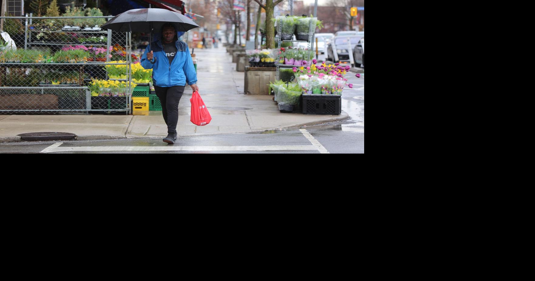 https://bloximages.chicago2.vip.townnews.com/thestar.com/content/tncms/assets/v3/editorial/d/96/d96b1c17-7159-5cb8-b8a6-3d306e0f67f5/69f9b605b31d8.image.jpg?crop=1763,926,0,124&resize=1200,630&order=crop,resize