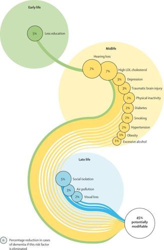 dementia risk factors figure.jpg