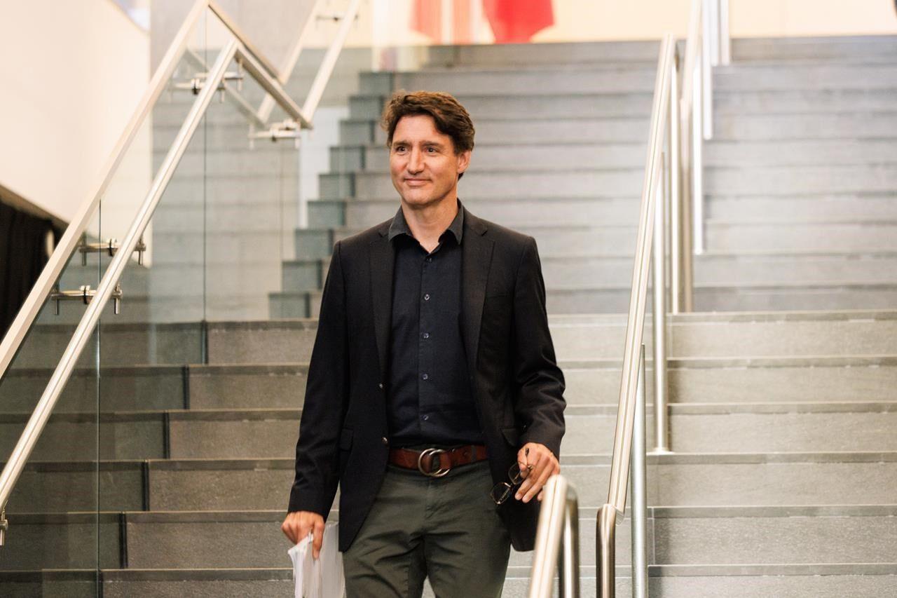 If Justin Trudeau steps down this is what it will look like