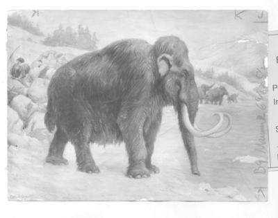 Woolly-mammoth.JPG