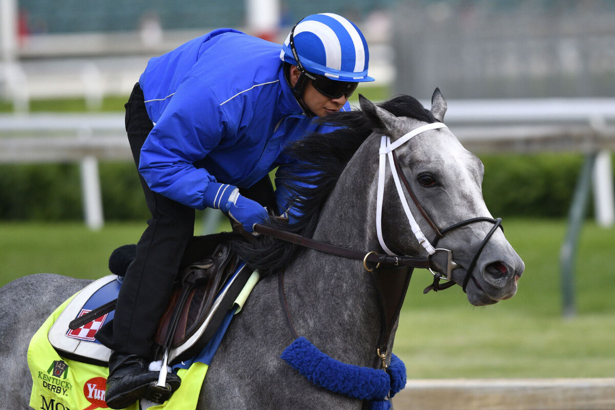 Rare grey horses among hopefuls for Kentucky Derby