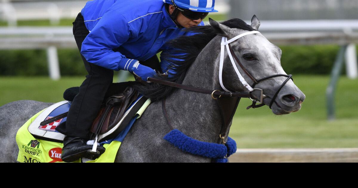 Rare grey horses among hopefuls for Kentucky Derby