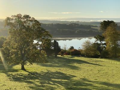 Brook Hall Arboretum CREDIT Brook Hall Estate & Gardens.jpg