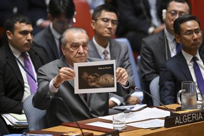 United Nations Security Council