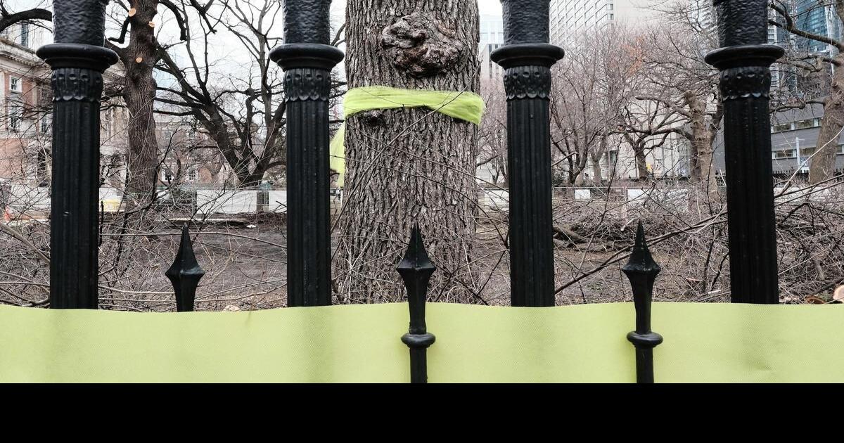 Osgoode trees a step in Toronto’s march toward uniformity