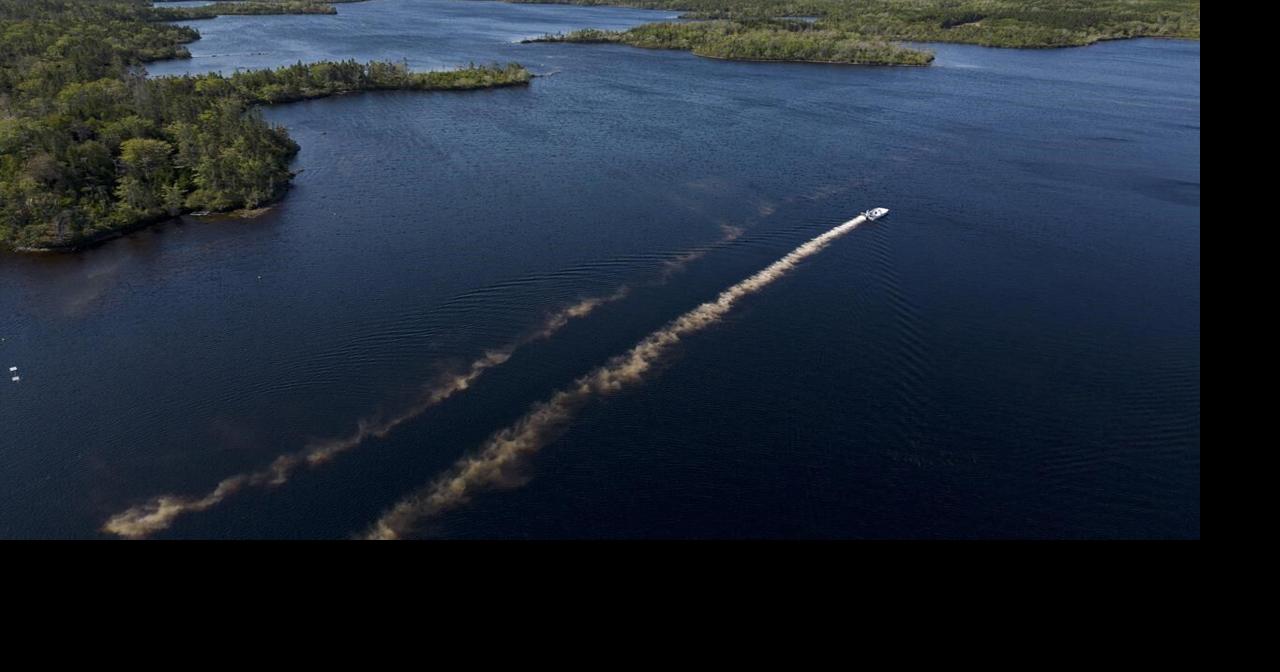 invasive fish species