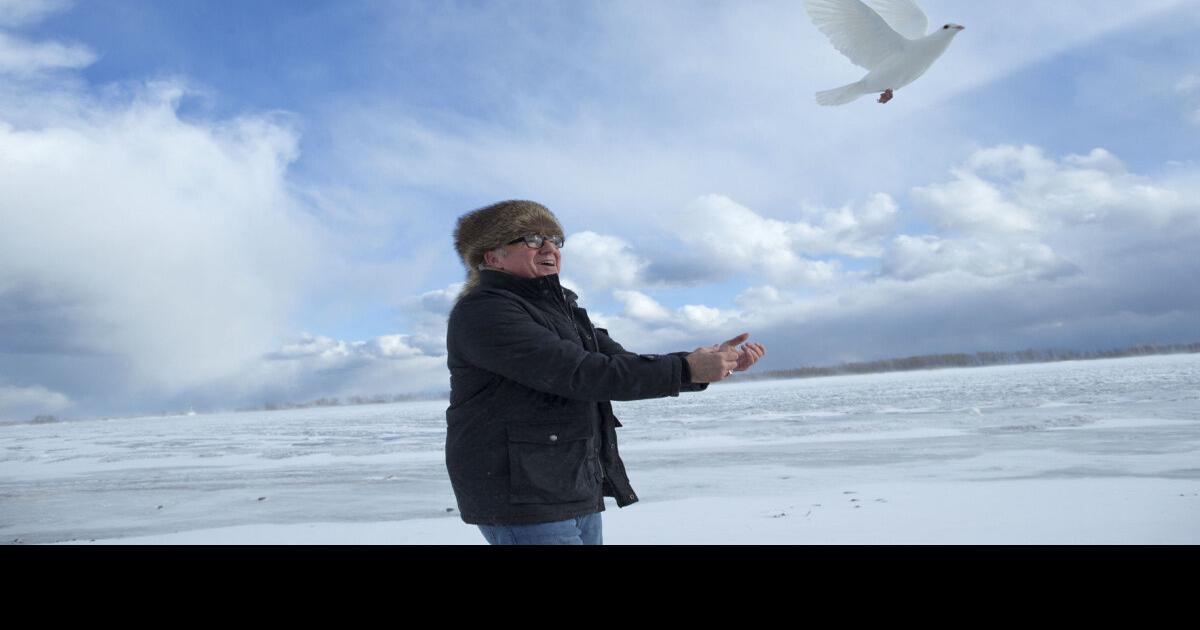 Toronto rental doves love weddings, funerals — and flying home