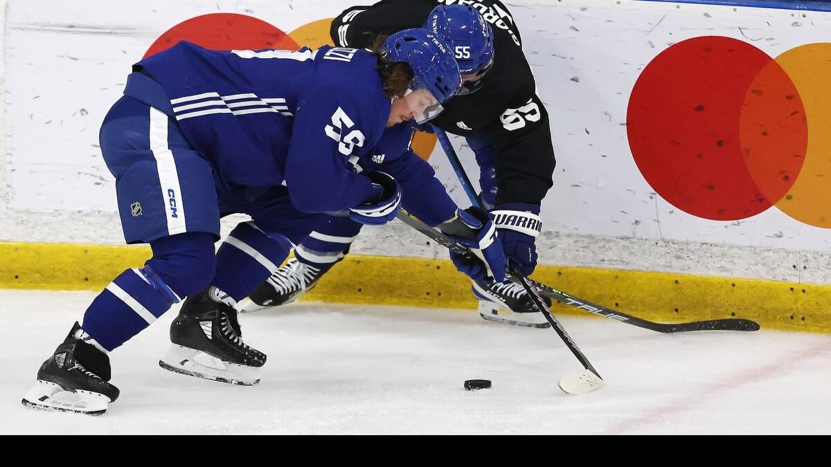 Toronto Sports Team Vladimir Guerrero Jr. Auston Matthews And Kyle