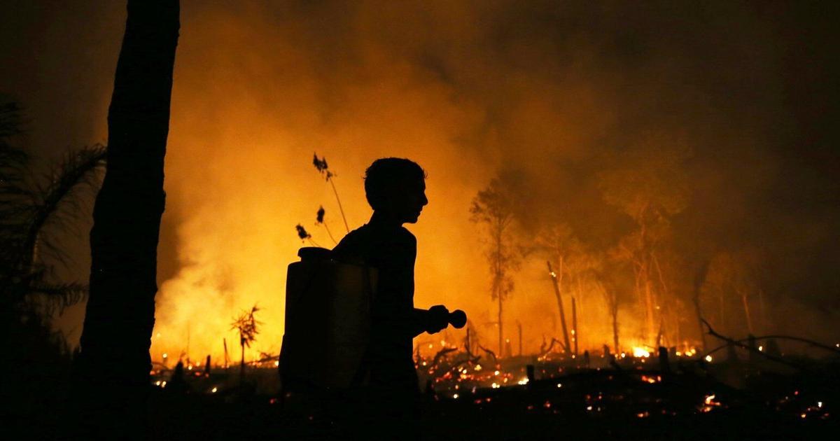 Photo: thestar.com Brazil investigates Amazon wildfires that disrupt daily life and have fueled political attacks