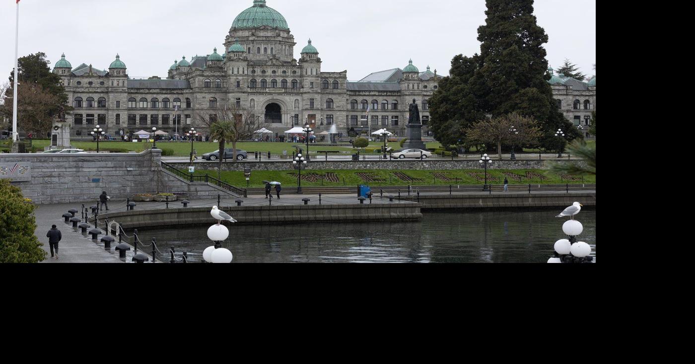 Two former B.C. Conservatives plan to form new party