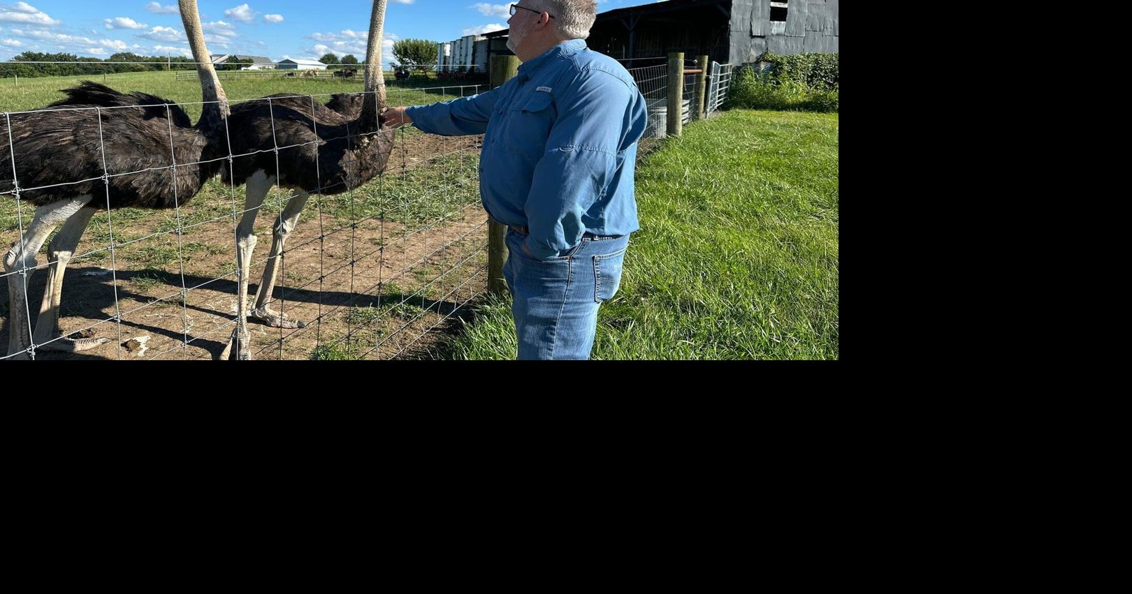 A Kentucky man with a meat allergy was craving a burger. So he got into ostrich farming