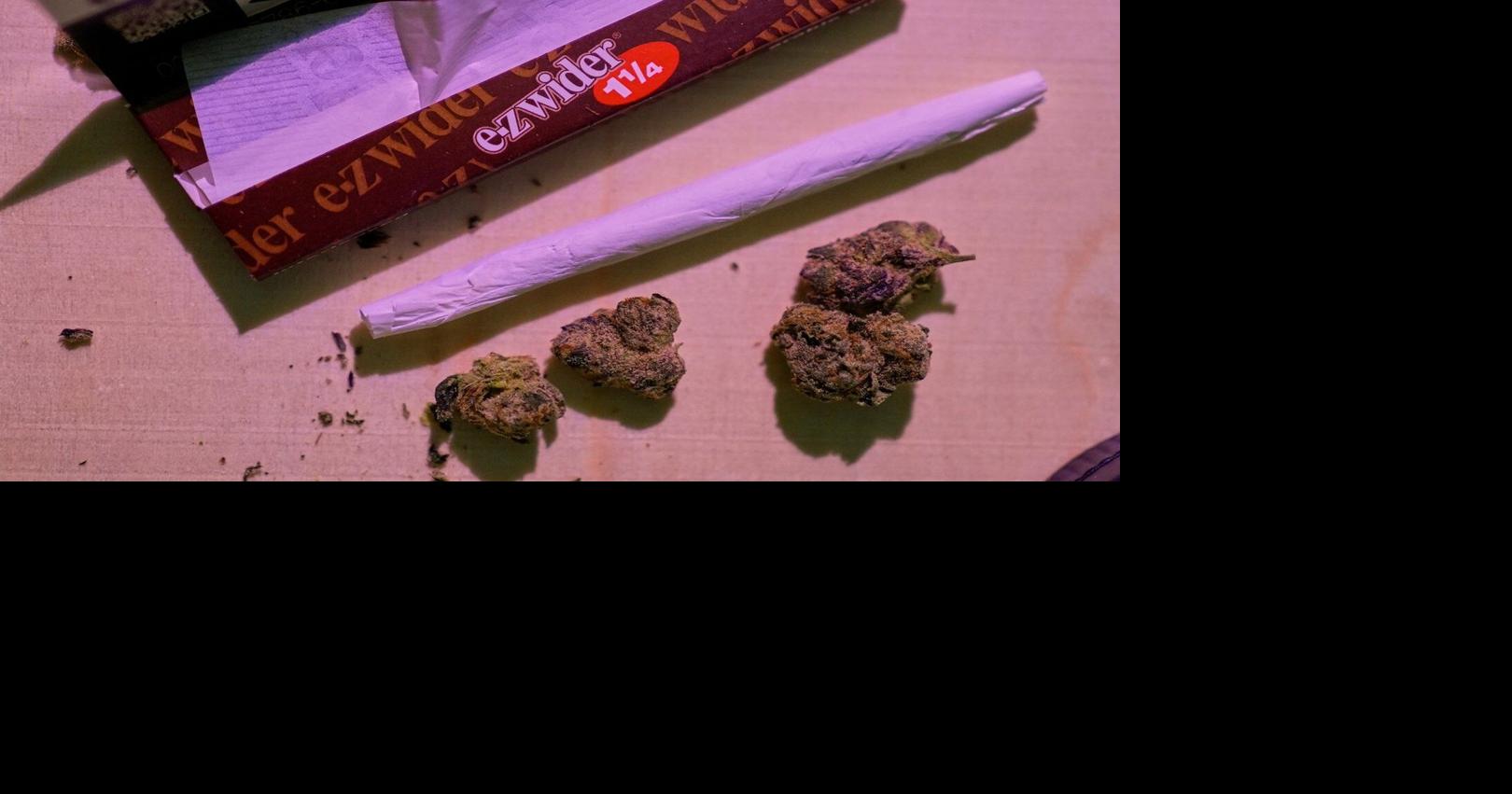 Chief in N.S. says Mi'kmaq have a treaty right to sell cannabis amid new RCMP raids