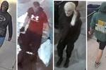 Over $30,000 in art, spirits stolen from Toronto home, police search for suspects