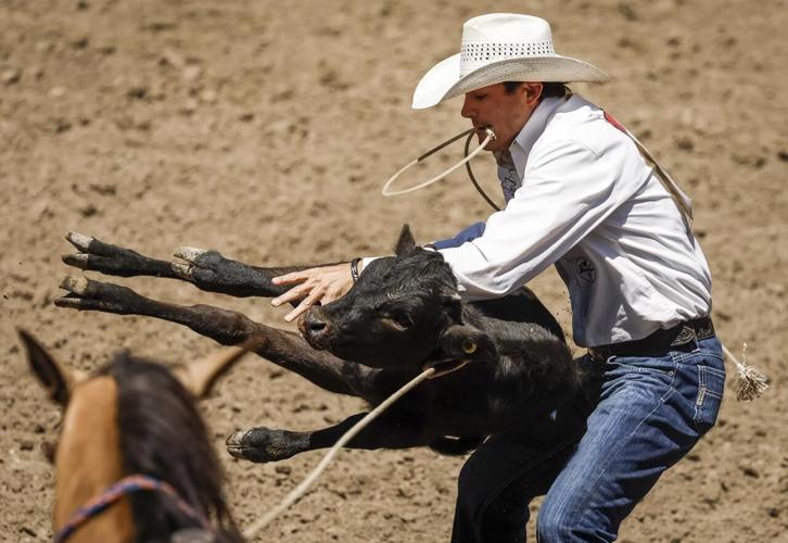 Photo Gallery Calgary Stampede rodeo competition