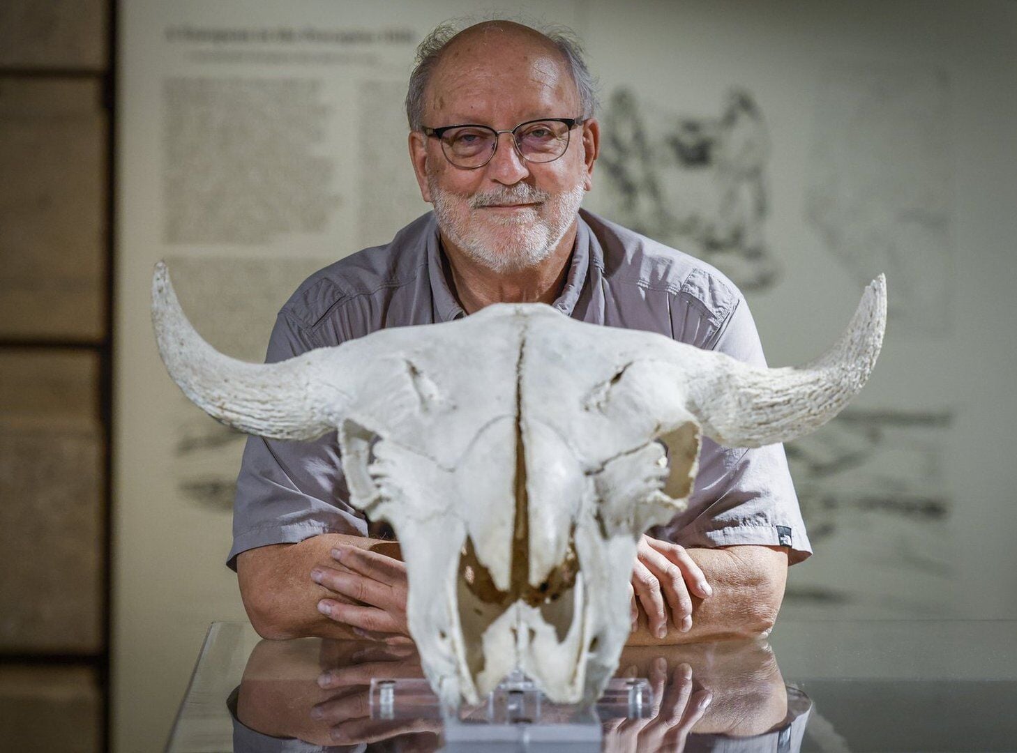 'The perfect trap': Archeologist reflects on decades at Head-Smashed-In ...