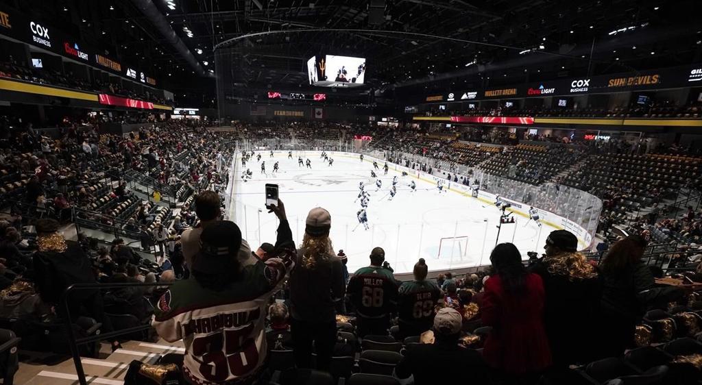 NHL commish doubles down on desire to keep Coyotes in Arizona amid