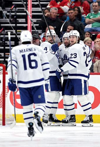tml goal.jpg