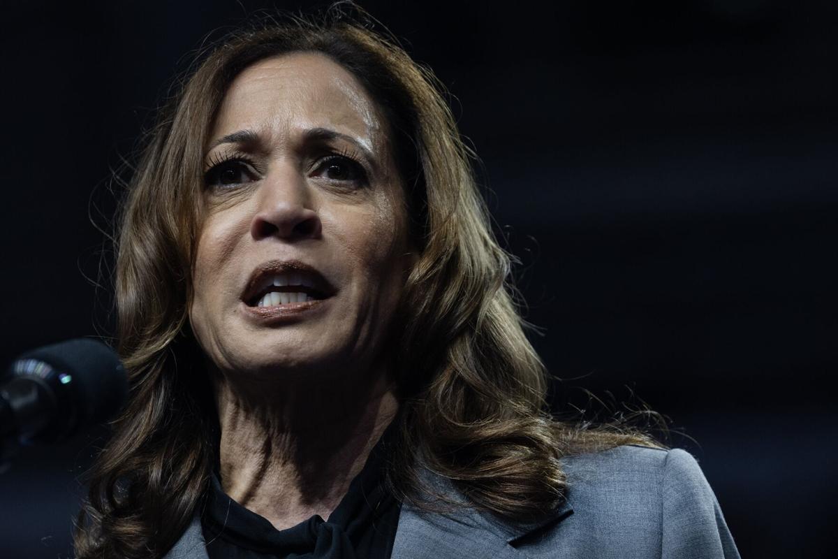 Why Kamala Harris is talking about her gun ownership