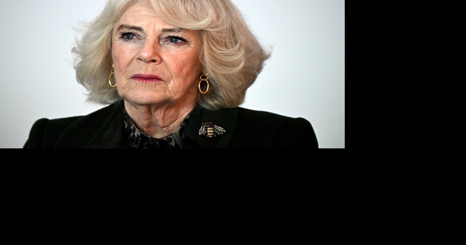 Queen Camilla recalls assault in 1960s as she campaigns against domestic violence