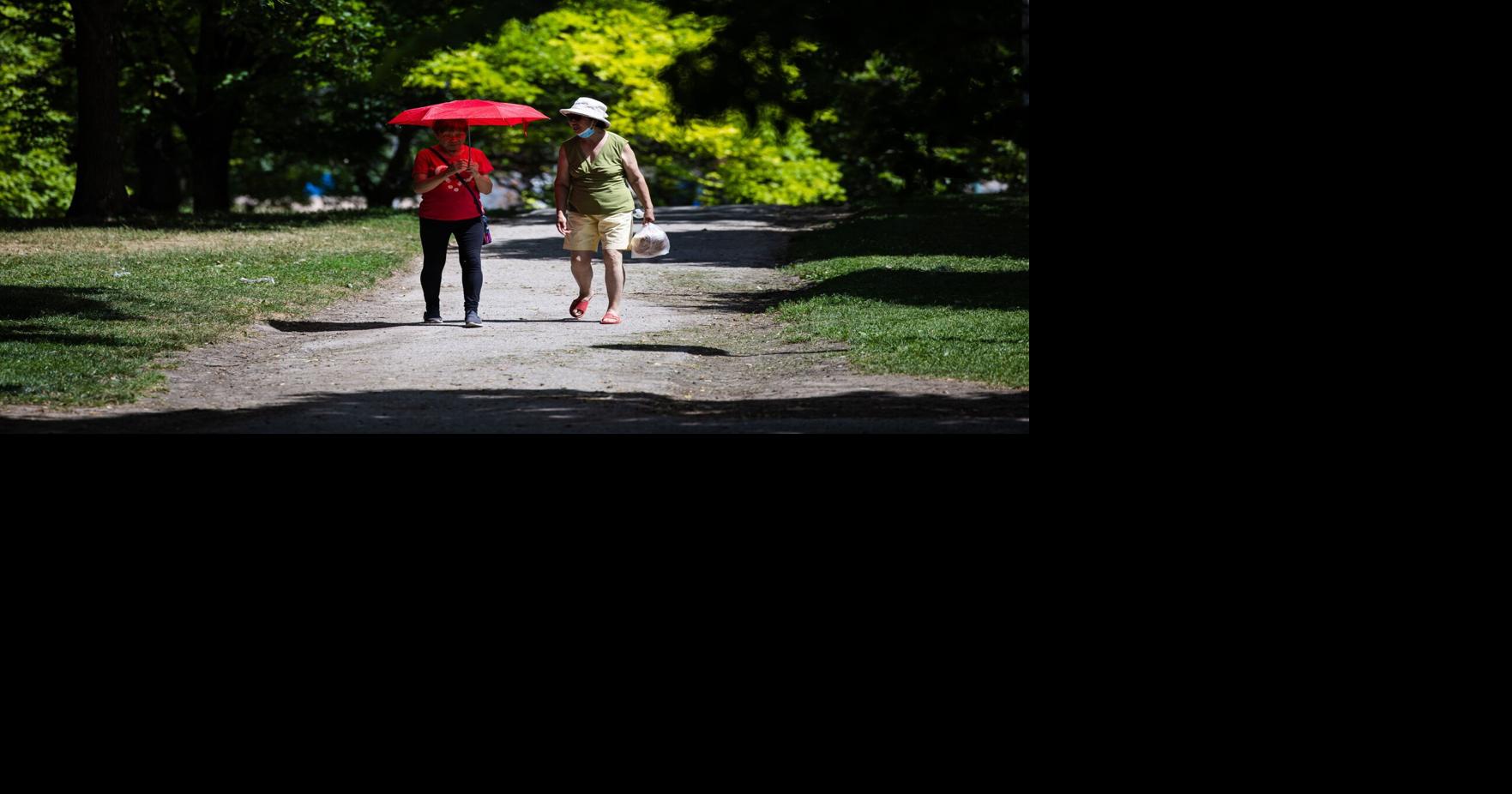 https://bloximages.chicago2.vip.townnews.com/thestar.com/content/tncms/assets/v3/editorial/e/44/e44fafc5-64d0-56bb-9c02-9c68957d7479/68835dd6c9b2d.image.jpg?crop=1763,926,0,124&resize=1200,630&order=crop,resize