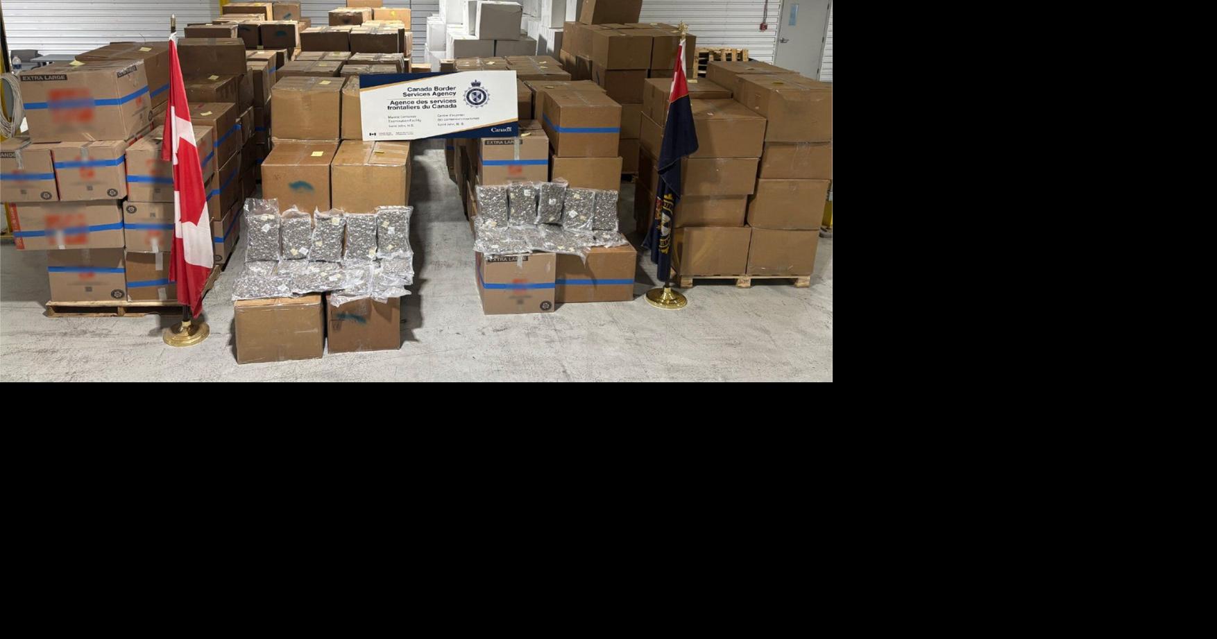 https://bloximages.chicago2.vip.townnews.com/thestar.com/content/tncms/assets/v3/editorial/e/4f/e4f51083-81dc-5759-9d82-cd3d94ea4f5d/6876a1b4eed62.image.jpg?crop=1754,921,0,79&resize=1200,630&order=crop,resize