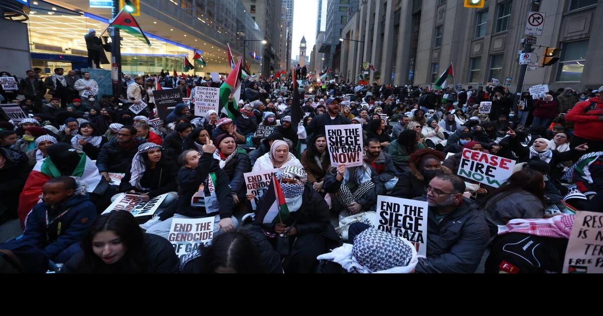 More than 25,000 protesters fill downtown Toronto to demand a ceasefire in Gaza: ‘I just pray to God that this violence stops’