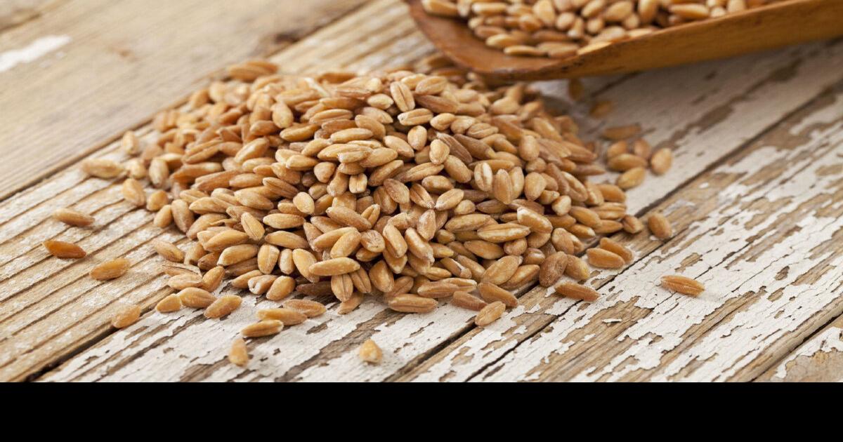 Farro is a trendy grain that goes by many names