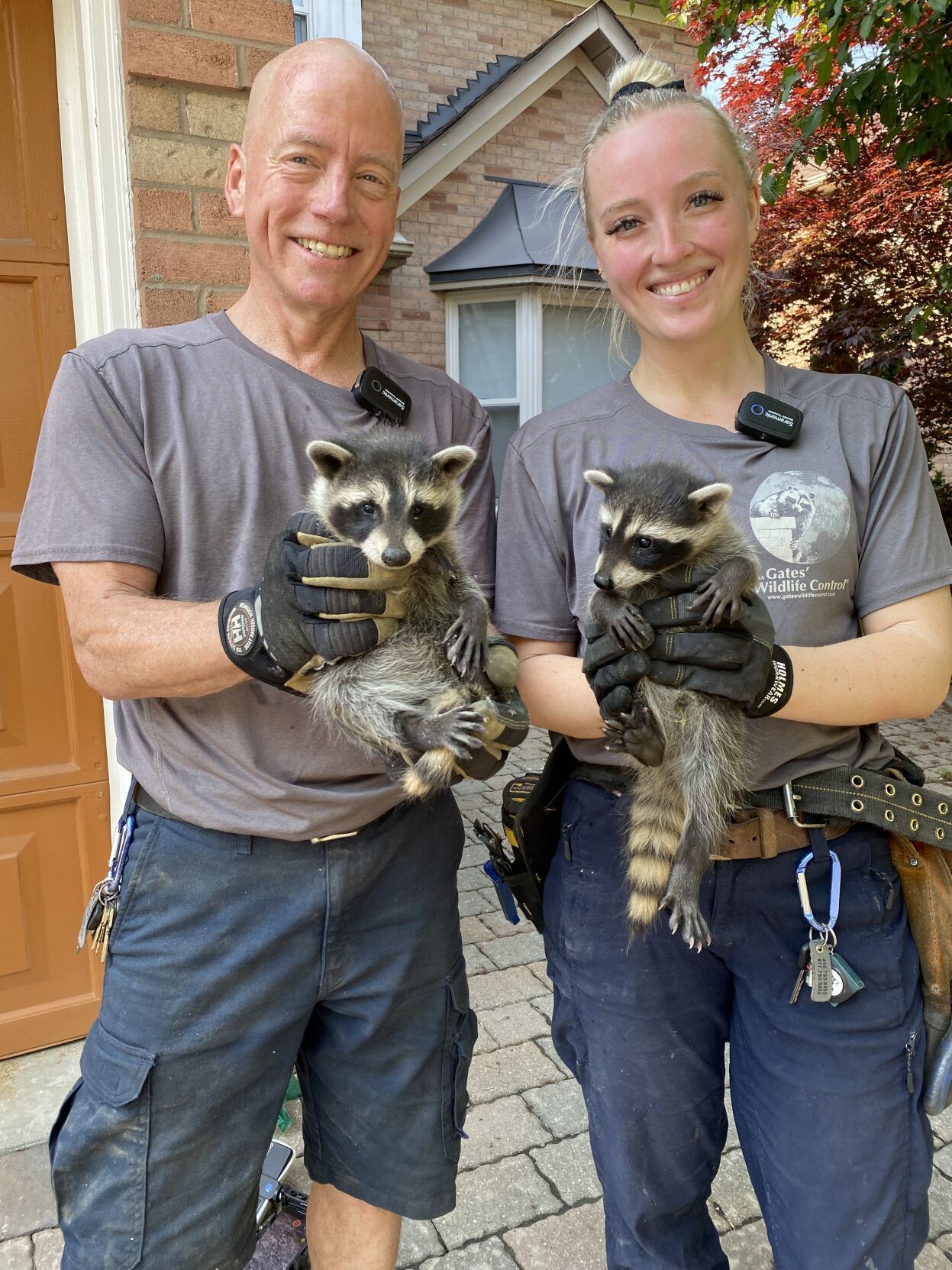 Should groundhog Wiarton Willie fear the raccoon’s shadow?