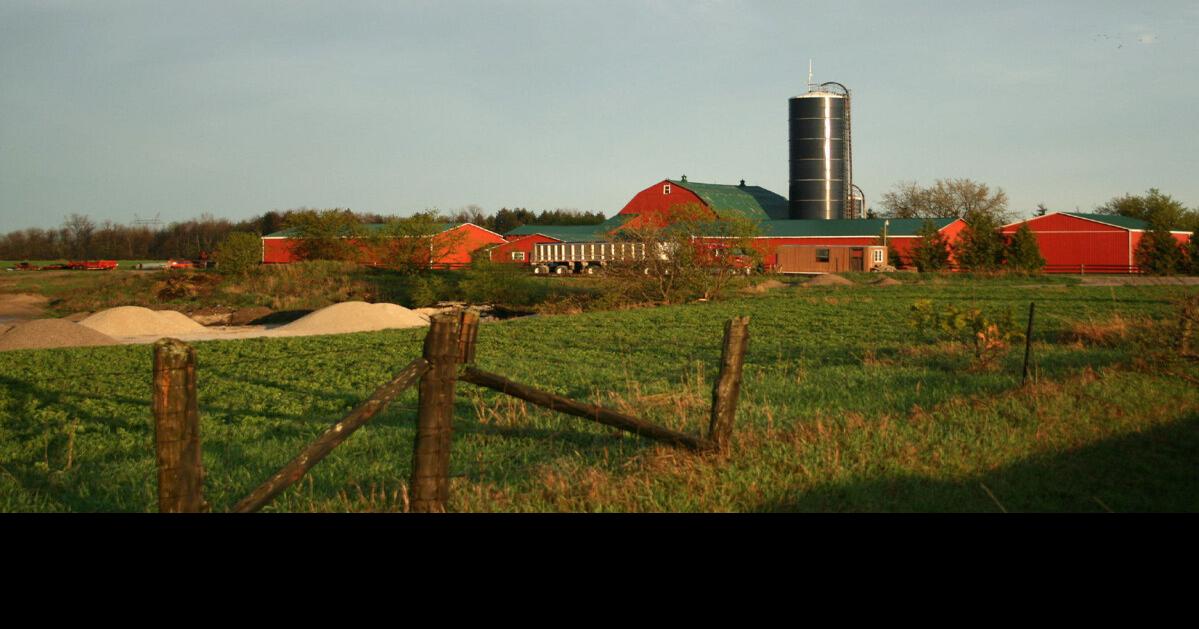 Rural Land Prices Surge Across Southern Ontario