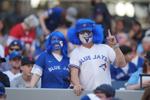 Blue-Jays-fans.JPG
