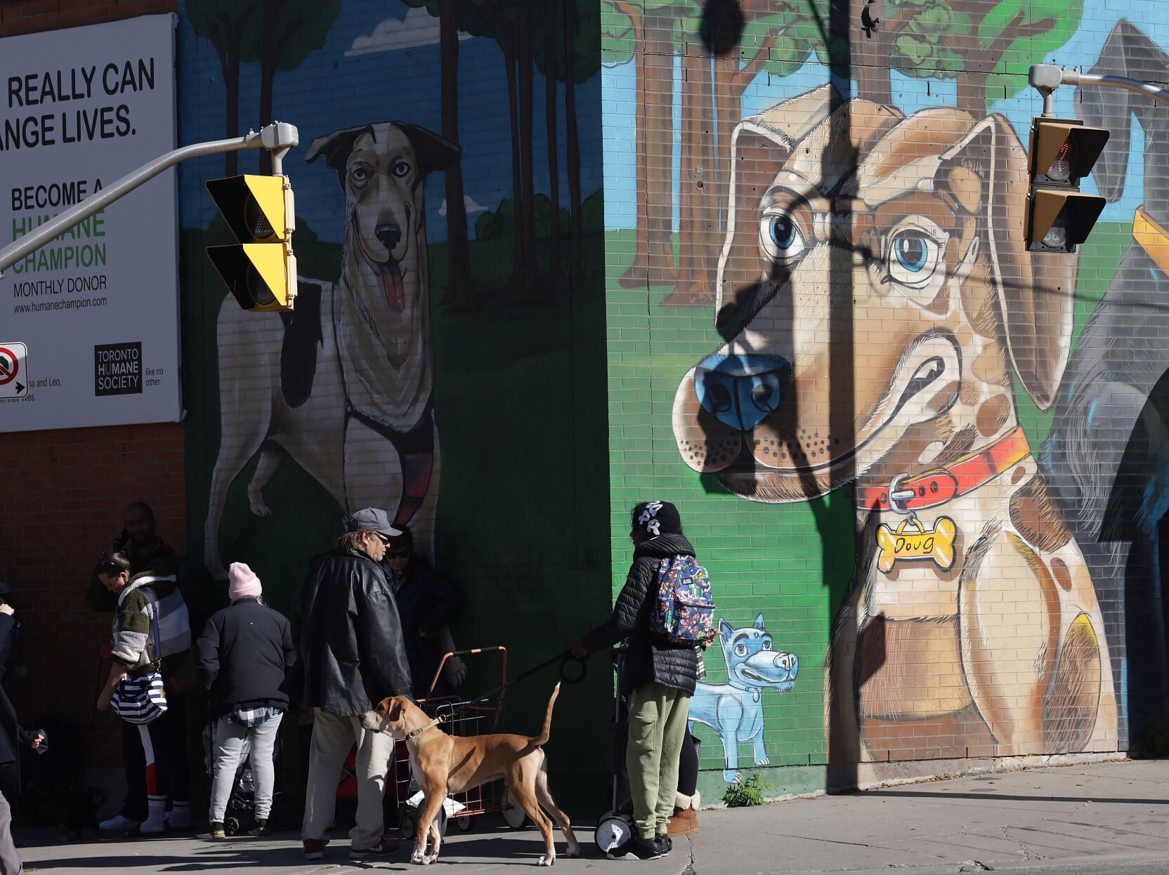 Interactive map for pet food banks launched across Canada