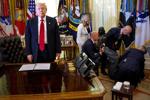 No 'official' portrait could capture Donald Trump's presidency like this one does