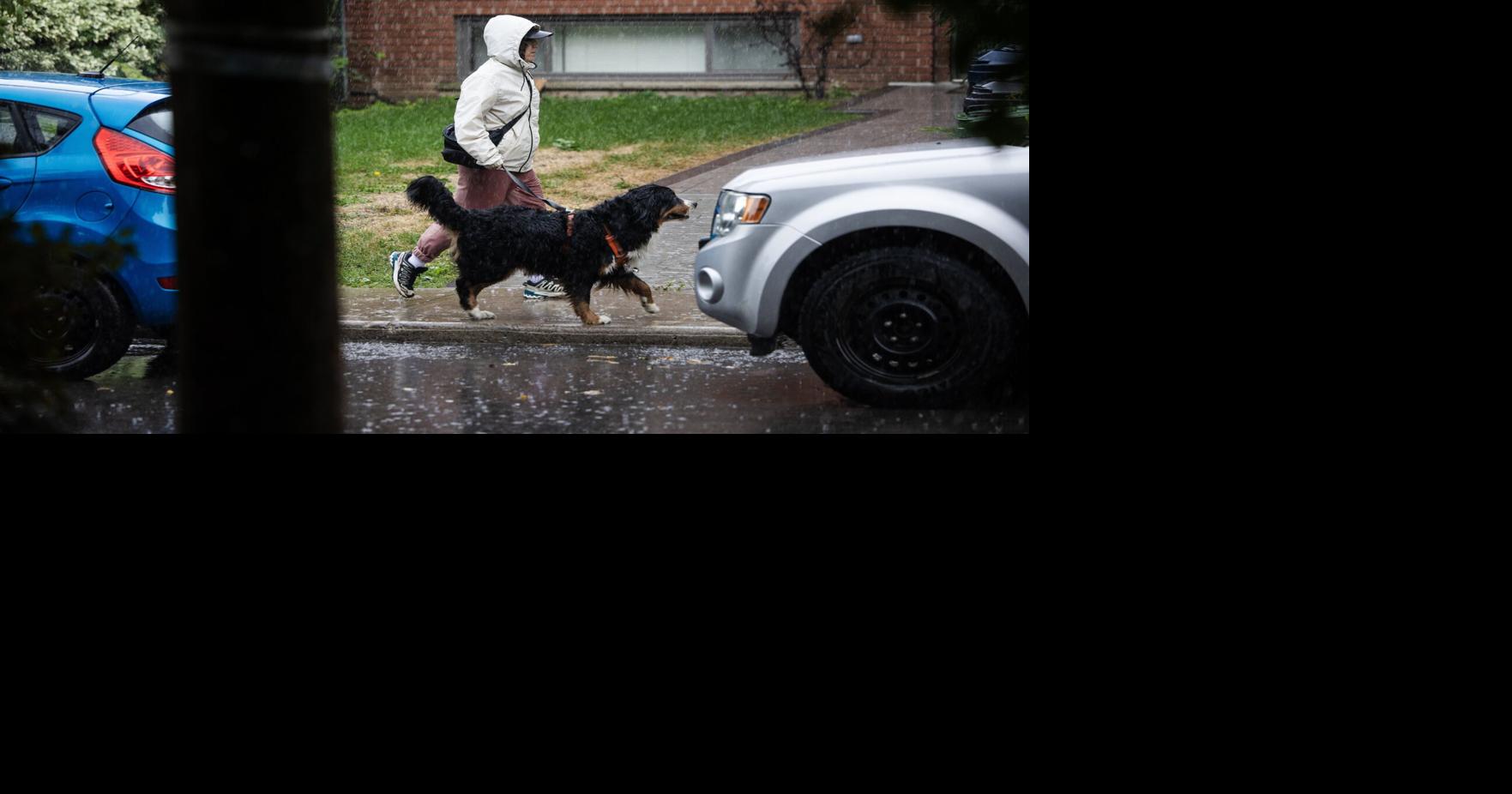 Record-breaking temperatures in Toronto on Saturday as city springs forward into warmer weather over weekend