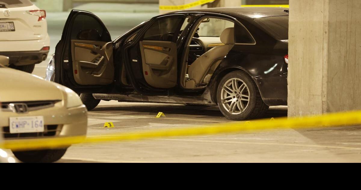 Murder victim in Fairview Mall shooting identified by police